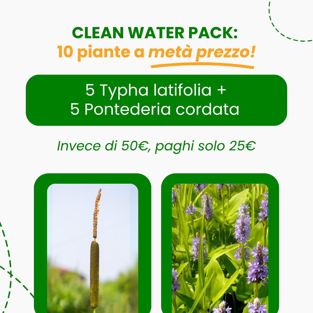 Clean Water Pack – 10 piante per laghetti cristallini e pieni di vita